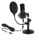 DELOCK μικρόφωνο studio με pop φίλτρο & αντιανέμιο 66300, πυκνωτικό, USB